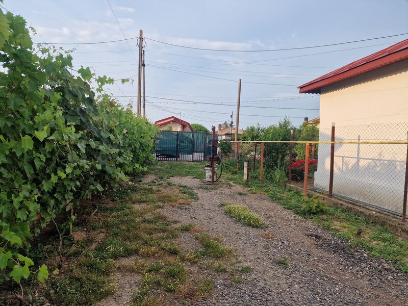 Darasti-Vlasca, Adunatii Copaceni