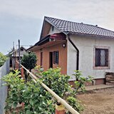 Darasti-Vlasca, Adunatii Copaceni